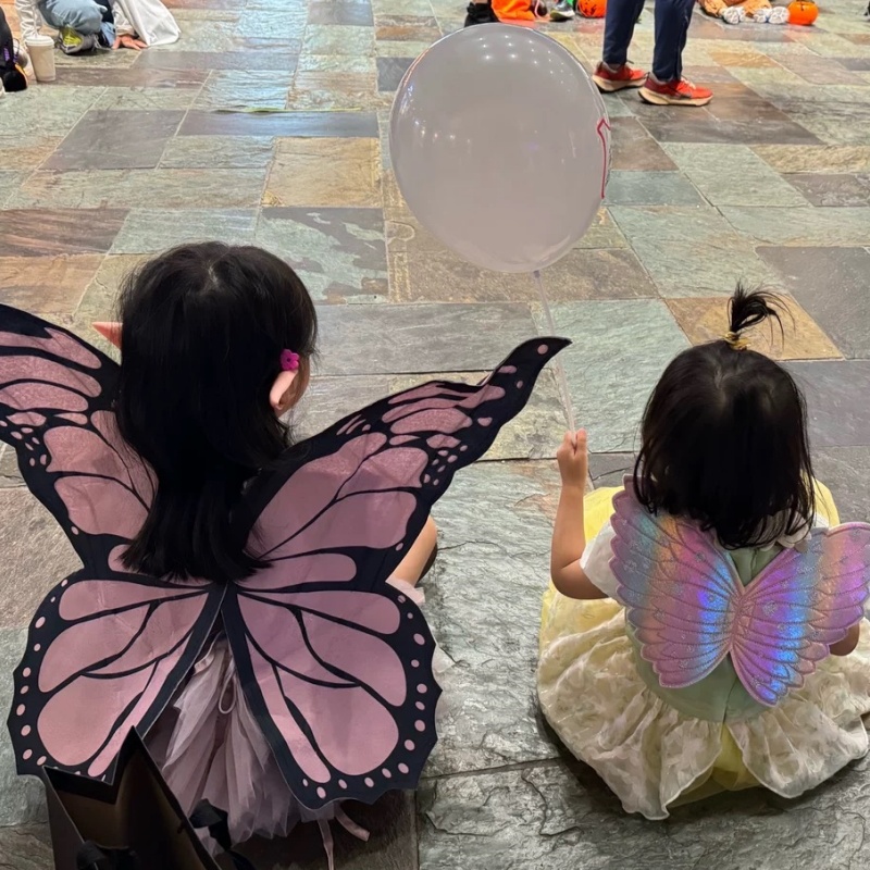 Pink Butterfly Wings Cosplay T - Baby Clothing Model avaliação e preço